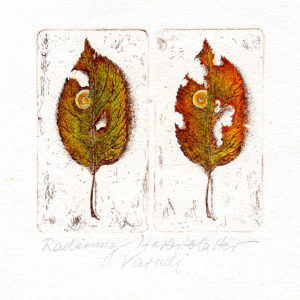 No. 34 | Herbstblätter | Radierung - koloriert  | 26,5 x 19,5 cm