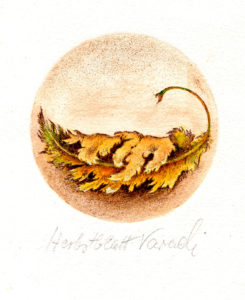 No. 31 | Herbstblatt | Radierung - koloriert  | 26,5 x 19,5 cm