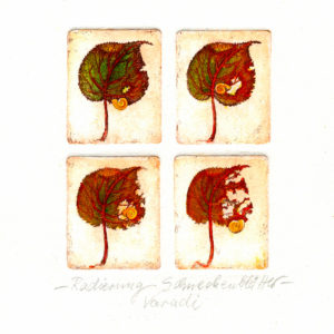 No. 34 | Schneckenblätter | Radierung - koloriert  | 26,5 x 19,5 cm